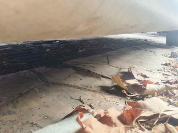 [济南·鲁A] 二手大众速腾2011款 1.6L 自动时尚型