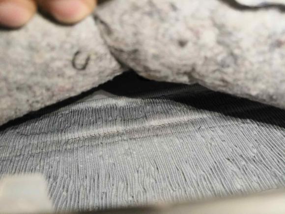 [成都·川A] 二手雷克萨斯雷克萨斯NX2015款 200 前驱 锋行版