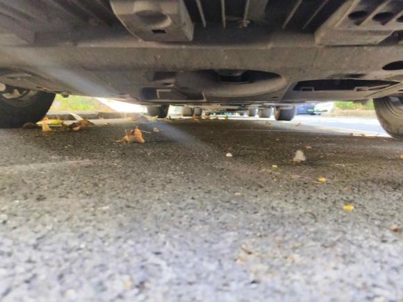 [广州·粤A] 二手丰田雷凌2017款 改款双擎 1.8H GS E-CVT精英天窗版 国V