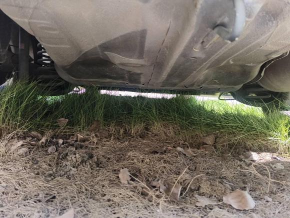 [上海·沪C] 二手本田锋范2015款 1.5L CVT豪华版