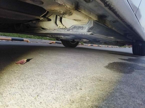 [南通·苏F] 二手大众朗逸2014款 1.4TSI DSG蓝驱技术版