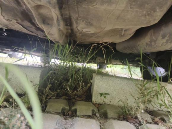 [苏州·苏E] 二手长安逸动2018款 高能版 1.6L GDI 自动先锋型 国V