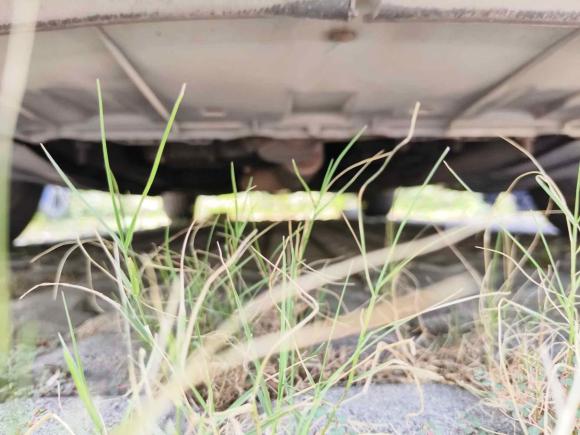 [武汉·鄂A] 二手别克君威2014款 1.6T 时尚技术型