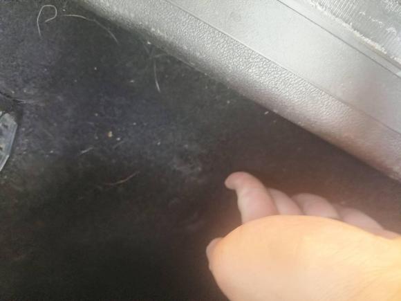 [上海·沪A] 二手欧拉欧拉好猫2021款 400km标准续航 雅典娜版 磷酸铁锂