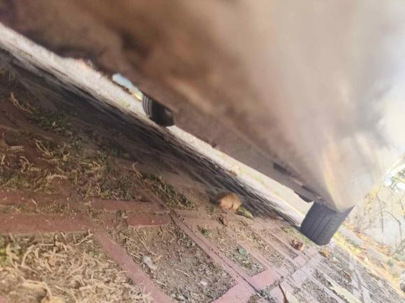 [济南·鲁A] 二手雪佛兰赛欧2015款 赛欧3 1.3L AMT理想版