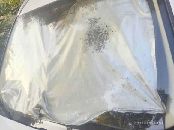 [宁波·豫N] 二手长安长安CS552017款 1.5T 自动炫色型