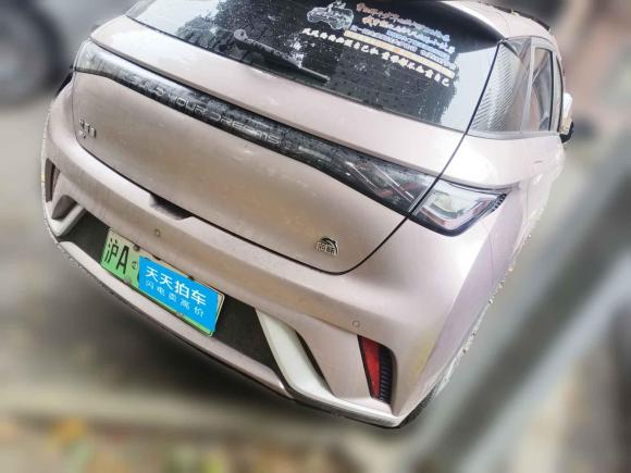 [上海·沪A] 二手比亚迪海豚2023款 420km 时尚版