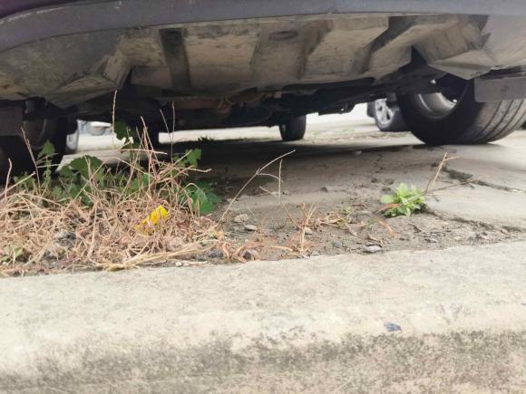 [上海·沪G] 二手别克别克GL82013款 3.0L XT豪华商务旗舰版