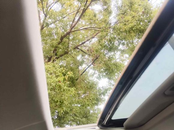 [上海·苏U] 二手长城炮2021款 2.0T越野版自动汽油四驱珠峰版GW4C20B