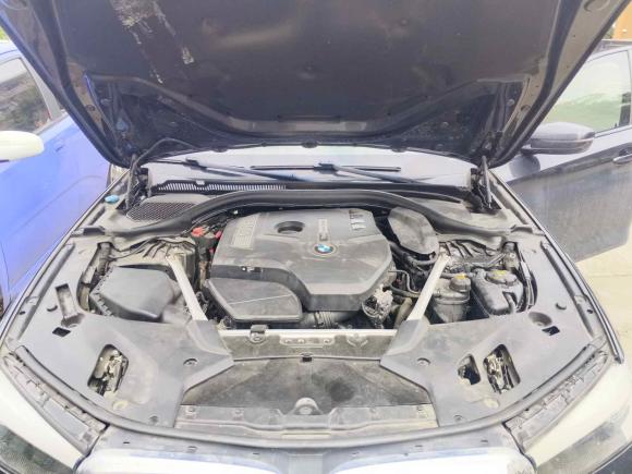 [台州·浙J] 二手宝马宝马5系2019款 改款 525Li M运动套装