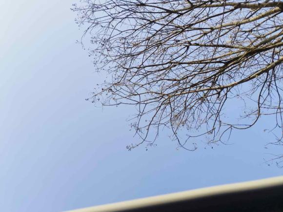 [西安·陕A] 二手日产轩逸2022款 经典 1.6XL CVT豪华版