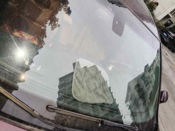 [宁波·浙B] 二手宝马宝马3系2009款 335i