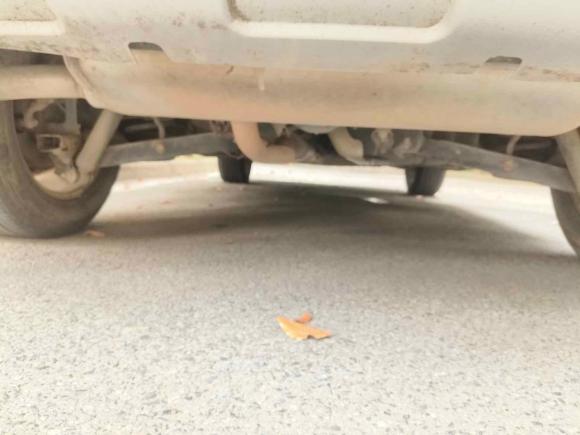 [武汉·鄂A] 二手日产逍客2012款 2.0XV 雷 CVT 2WD