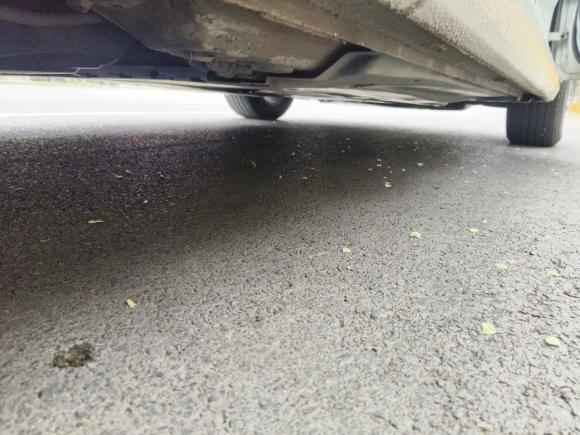 [济南·鲁A] 二手大众速腾2019款 280TSI DSG舒适型 国V