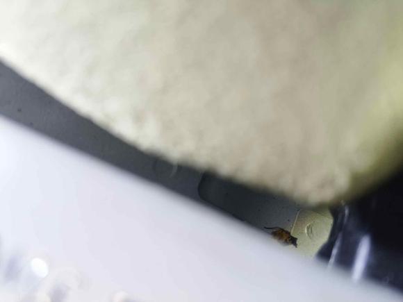 [成都·川A] 二手奔驰奔驰C级2017款 C 200 L 运动版