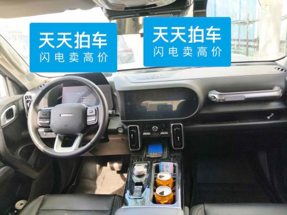 [青岛·鲁U] 二手哈弗哈弗大狗2021款 1.5T DCT两驱边牧-旺财版