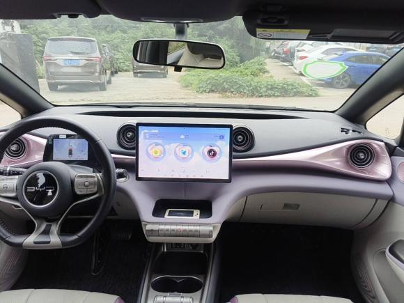 [南京·苏A] 二手比亚迪海豚2023款 420km 自由版