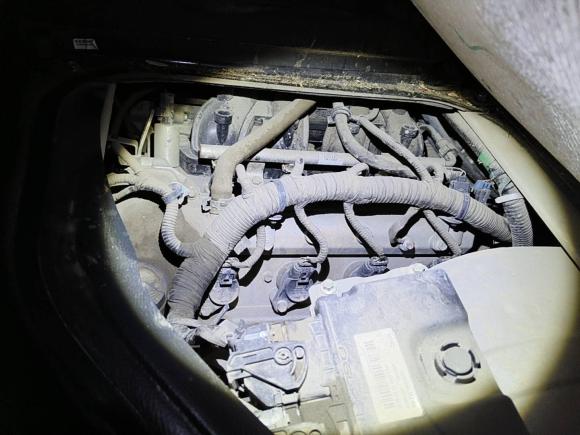 [合肥·皖B] 二手东风小康东风小康D512021款 1.5L标准型后双轮国VI