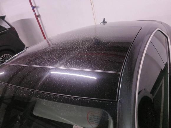 [南昌·赣A] 二手奥迪奥迪A52017款 Coupe 40 TFSI 时尚型