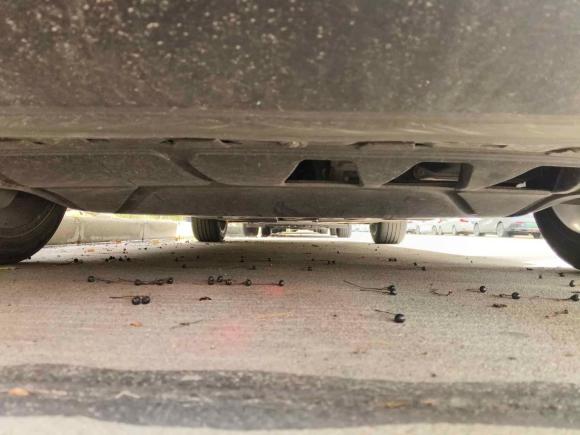 [上海·沪C] 二手大众帕萨特2021款 330TSI 豪华版