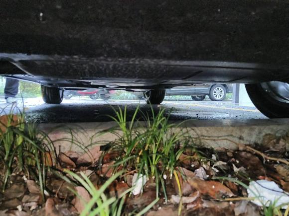 [杭州·浙A] 二手奥迪奥迪Q32022款 35 TFSI 时尚动感型