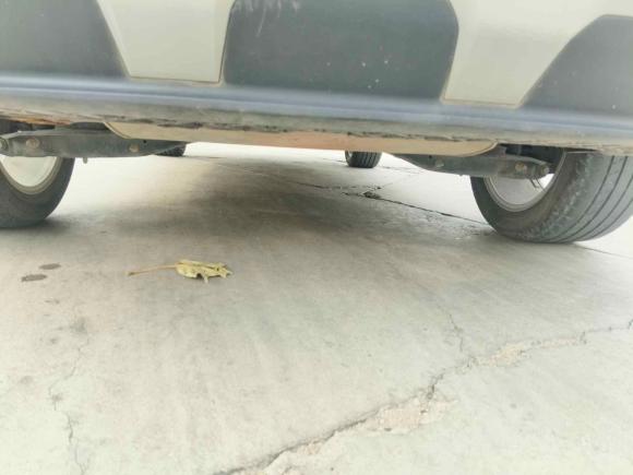 [青岛·云A] 二手捷达捷达VS52022款 280TSI 自动进取型Pro