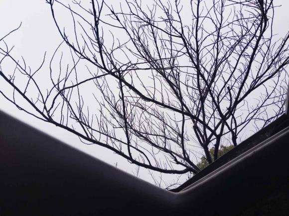 [宁波·浙B] 二手本田雅阁2016款 2.4L 舒适版