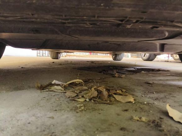 [无锡·苏J] 二手大众凌渡2019款 230TSI DSG风尚版 国VI