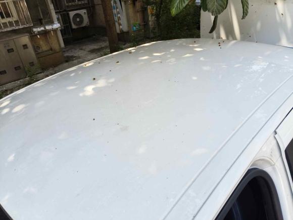 [南京·鲁V] 二手雪铁龙爱丽舍2016款 1.6L 手动时尚型