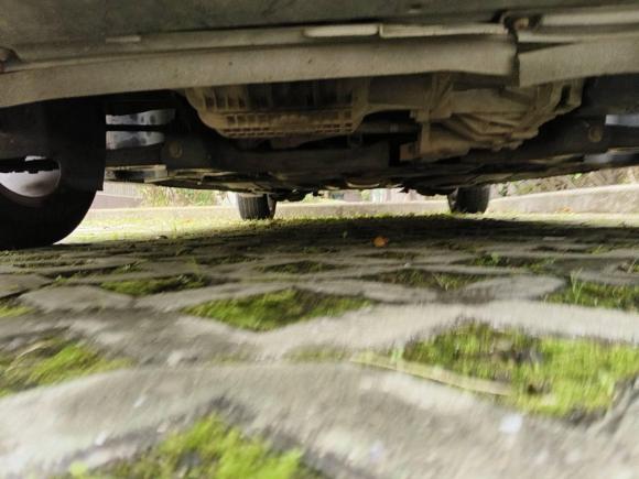 [嘉兴·浙F] 二手福特福克斯2012款 两厢 1.6L 手动风尚型