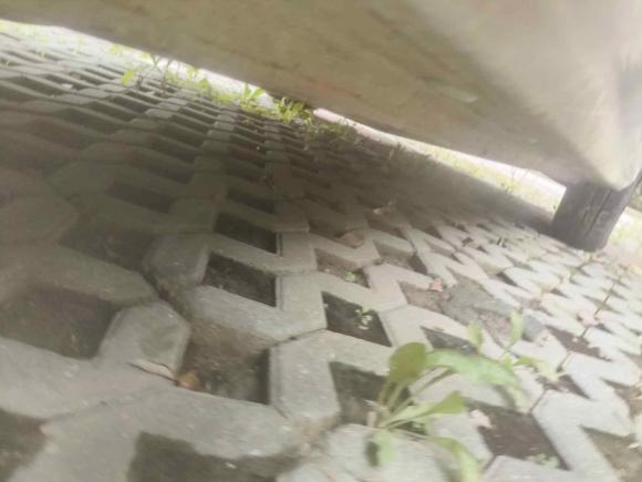 [上海·皖J] 二手宝骏宝骏3602019款 改款 1.5L 手动精英型 国VI