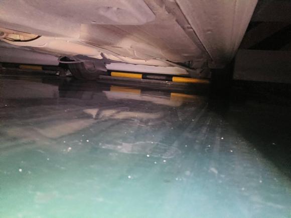 [成都·鲁D] 二手大众桑塔纳2019款 1.5L 手动风尚版 国VI