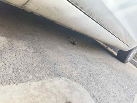 [西安·陕A] 二手福特福克斯2013款 两厢经典 1.8L 自动基本型