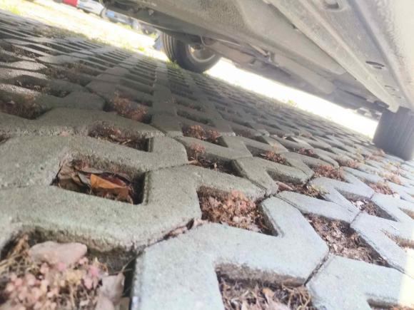 [嘉兴·浙F] 二手大众朗逸2013款 改款经典 1.6L 自动舒适版