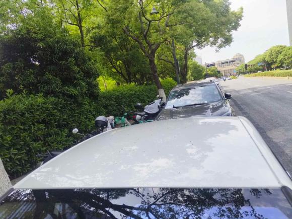 [杭州·陕U] 二手雪铁龙C4世嘉2016款 1.6L 自动豪华型