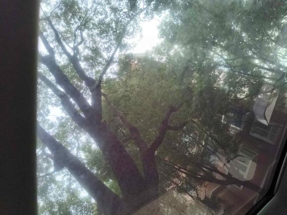 [上海·沪J] 二手路虎发现神行2018款 240PS HSE版