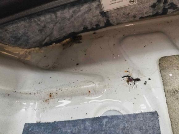 [深圳·粤B] 二手比亚迪秦PLUS2021款 EV 500KM 豪华型