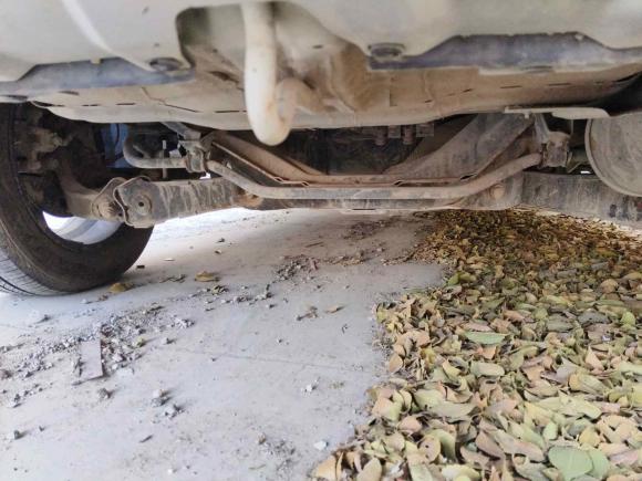 [济南·鲁A] 二手东风风神东风风神AX72016款 2.0L 自动智悦型