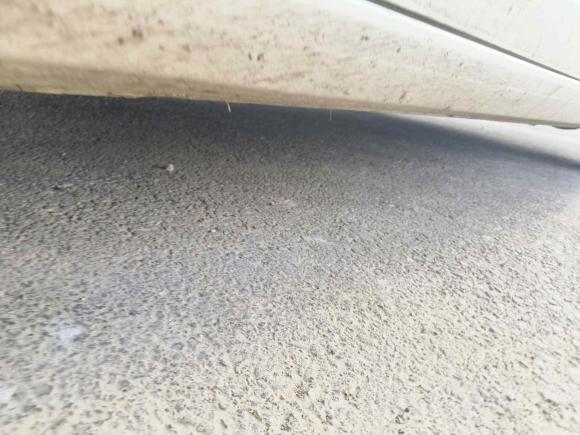 [青岛·鲁B] 二手福特福睿斯2015款 1.5L 自动舒适型