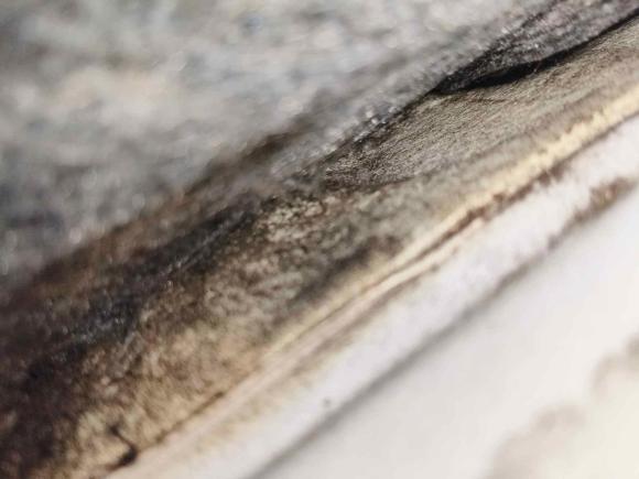 [深圳·粤B] 二手本田凌派2013款 1.8L 自动豪华版