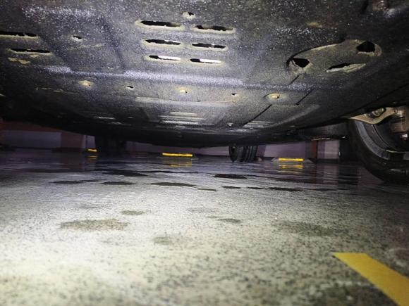 [南京·苏A] 二手零跑汽车零跑C112021款 尊享版