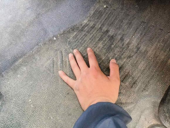 [南通·苏F] 二手福特新世代全顺2009款 2.4T柴油多功能型短轴中顶Duratorq