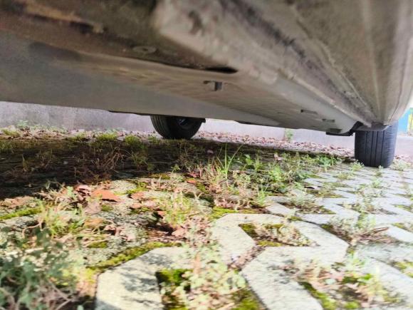 [金华·浙G] 二手大众Polo2016款 1.4L 手动风尚型