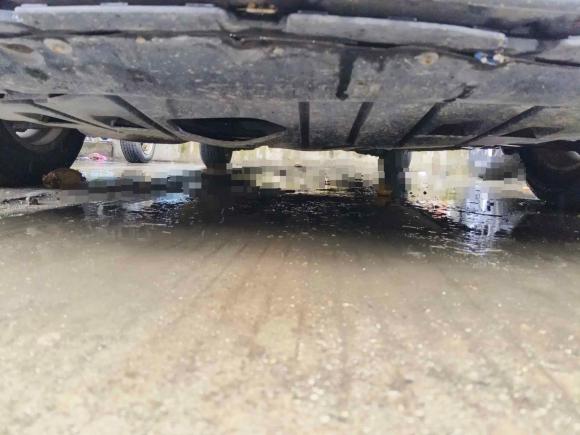 [成都·川A] 二手马自达马自达3星骋2015款 三厢 1.6L 自动舒适型