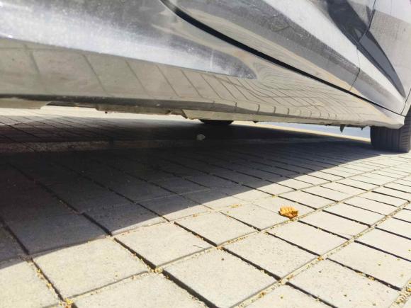 [苏州·苏E] 二手奥迪奥迪A6L2019款 45 TFSI quattro 尊享动感型