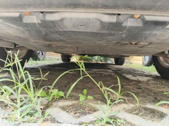 [上海·沪A] 二手马自达马自达CX-52013款 2.0L 自动两驱舒适型