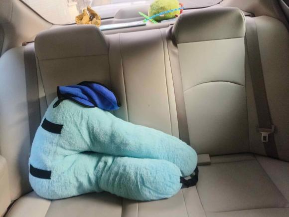 [合肥·皖A] 二手日产阳光2015款 1.5XE CVT舒适版