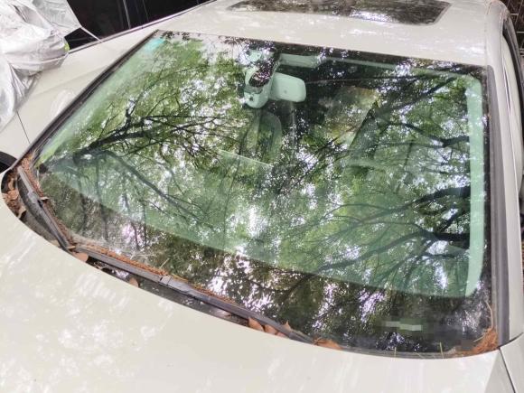 [上海·浙F] 二手奥迪奥迪A6L2016款 TFSI 技术型