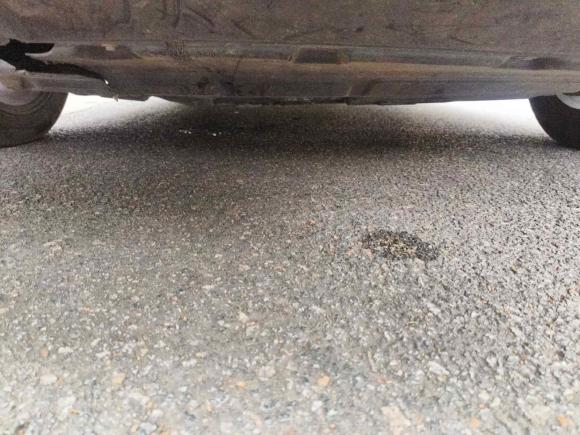 [广州·粤E] 二手奔腾奔腾T772019款 230 TID 自动豪华型 国VI