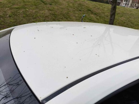 [成都·川A] 二手丰田卡罗拉2022款 TNGA 1.5L CVT先锋版